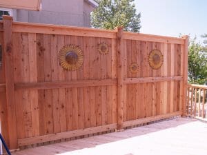 Western Red Cedar Privacy Fence in Wasaga Beach Ontario. 8&#039; high blank slate dressed up by the customers with sunflowers.