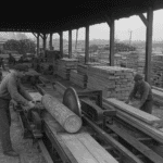 2026 Lumber Pricing Forecast: A Tale of Two Markets