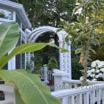 Ellipse Arbor5 1