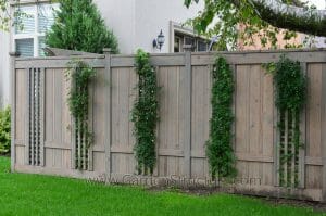 The Bayview fence design. Trelliswork screens allow vines to be trained through to add another layer to the design. Designed and built for clients in Toronto.