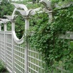 T171 trellis fences plans