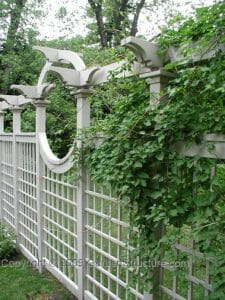 trellis plans fence design