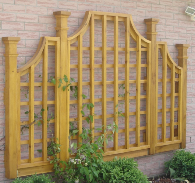 Trellis 1