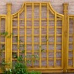 Trellis 2