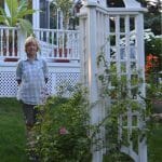 free standing rose trellis5 1