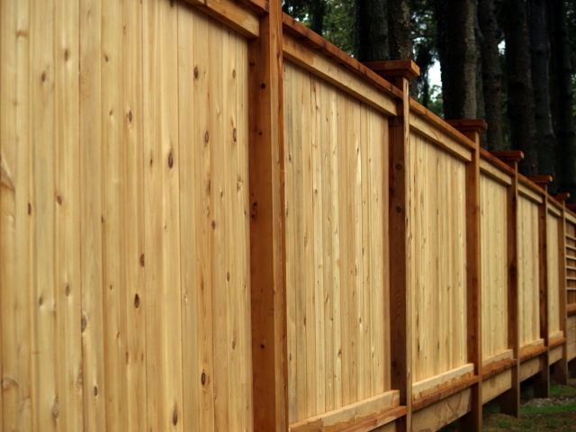 privacy fence