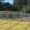 DIY Plans for Grape Supporting Trellis